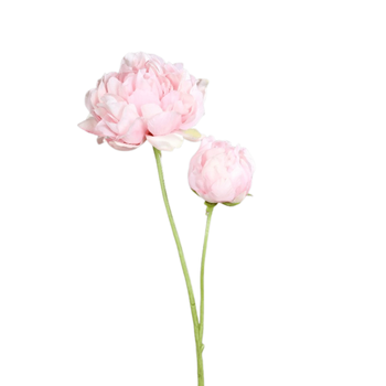 Visuel 1 du produit Pivoine artificielle rose vif avec 1 fleur et 1 bouton - 67 cm