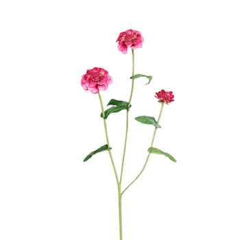 Visuel 1 du produit Zinnia artificiel à 3 fleurs fuchsia - 70 cm