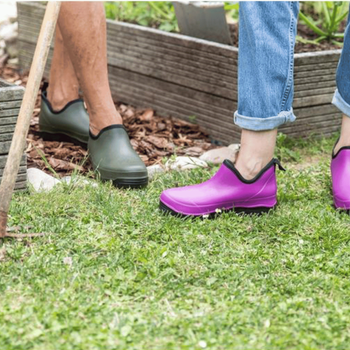 Visuel 1 du produit Bottillons Blackfox Oregon Fuchsia