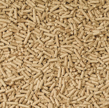 Visuel 1 du produit Litière en vrac pour chat, oiseau et rongeur Cat’s Best Universal - le seau de 12,4 L