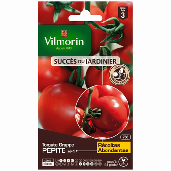 Visuel 1 du produit Graines de Tomate Pépite HF1 Vilmorin - graines à semer