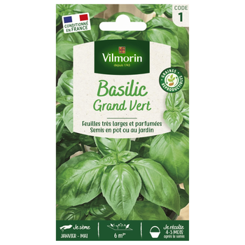 Visuel 1 du produit Graines de basilic grand vert Vilmorin - graines à semer