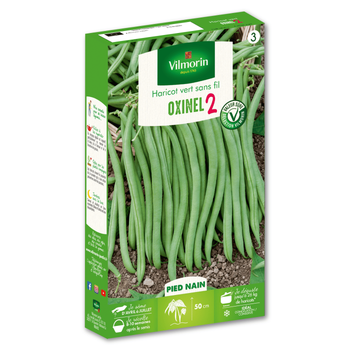 Visuel 1 du produit Graines haricot vert sans fil Oxinel 2 Vilmorin - graines à semer