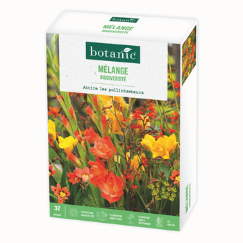 Visuel 1 du produit Boîte de bulbes de fleurs en mélange balcon et terrasse biodiversité botanic® – 32 bulbes