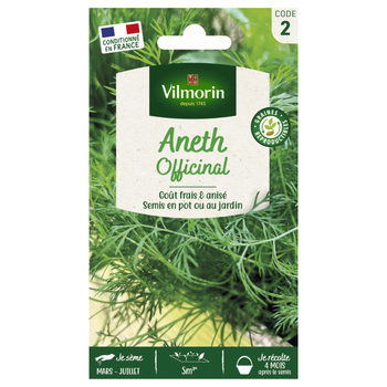 Visuel 1 du produit Aneth Officinal Vilmorin - graines à semer