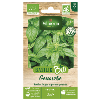 Visuel 1 du produit Basilic Genovèse Bio Vilmorin - graines à semer