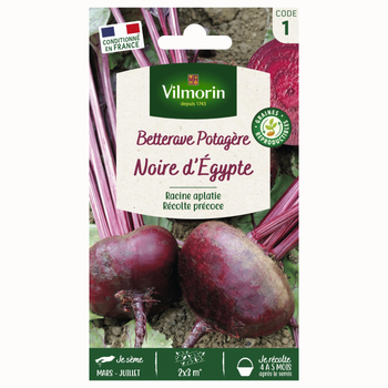 Visuel 1 du produit Betterave d'Égypte Série 1 Vilmorin - graines à semer