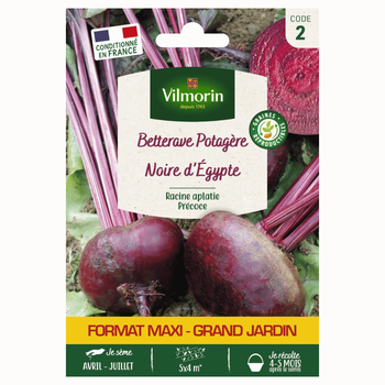 Visuel 1 du produit Betterave d'Égypte Vilmorin - graines à semer
