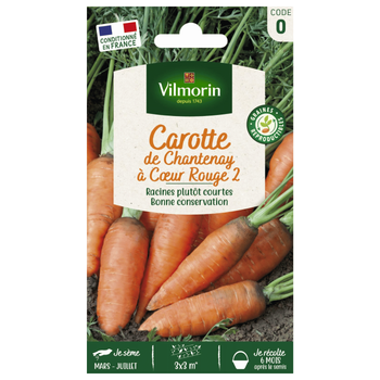 Visuel 1 du produit Carotte de Chantenay à cœur rouge 2 Vilmorin - graines à semer