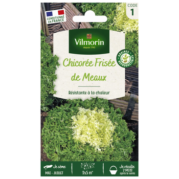 Visuel 1 du produit Chicorée de Meaux Vilmorin - graines à semer