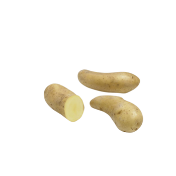 Visuel 1 du produit Pommes de terre Ratte calibre 25/32 - 1,5 kg