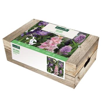 Visuel 1 du produit Cagette de 60 bulbes pour massif biodiversité botanic®