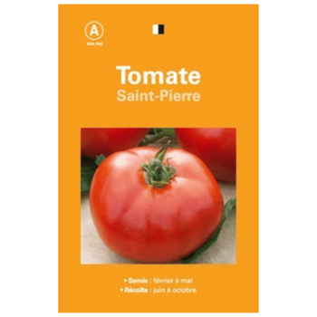Visuel 1 du produit Graines de tomate Saint Pierre premier prix - graines à semer