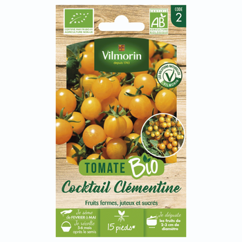 Visuel 1 du produit Tomate Cocktail Clémentine Bio Vilmorin - graines à semer
