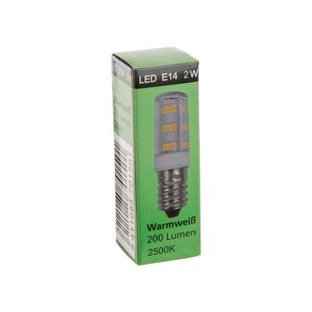 Visuel 1 du produit Ampoule pour photophores igloo et maison