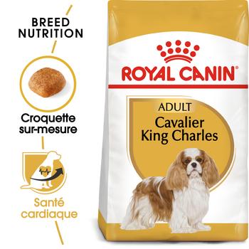 Visuel 1 du produit Croquettes pour chien adulte Cavalier King Charles Royal Canin - 3 kg