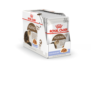 Visuel 1 du produit Pâtées pour chat senior en gelée Royal Canin Ageing +12 - 12 x 85 g
