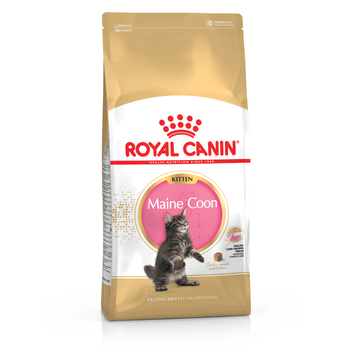 Visuel 1 du produit Croquette pour chaton et chatte adulte en gestation Maine Coon Royal Canin - 2 kg