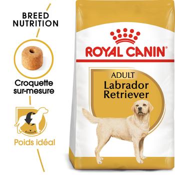 Visuel 1 du produit Croquettes pour chien adulte Labrador Retriever Royal Canin - 12 kg