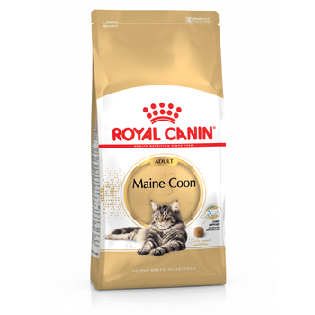 Visuel 1 du produit Croquettes pour chat adulte Maine Coon Royal Canin - 2 kg