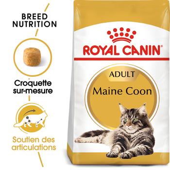 Visuel 1 du produit Croquettes pour chat adulte Maine Coon Royal Canin - 2 kg