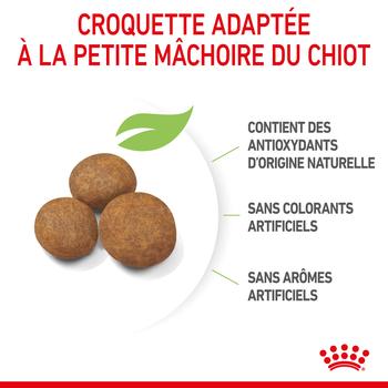 Visuel 1 du produit Croquettes pour chiot de grande taille Royal Canin Maxi Puppy - 3 kg