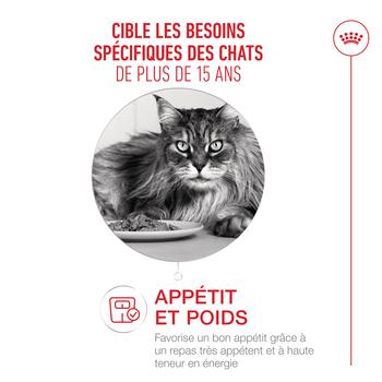 Visuel 1 du produit Croquettes pour chat Royal Feline Ageing 15+ grand sac - 2 kg