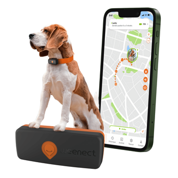 Visuel 1 du produit Traceur GPS pour chien coloris noir Weenect