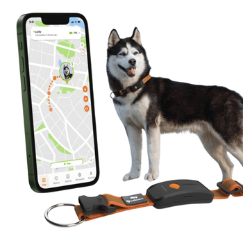 Visuel 1 du produit Collier GPS pour chien coloris noir Weenect XT