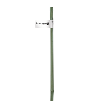 Visuel 1 du produit Tuteur bambou plastifié coloris vert Ø 7/11 mm x 0,90 m
