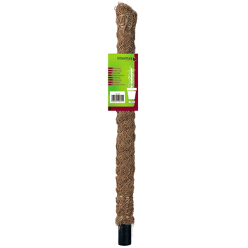 Visuel 1 du produit Tuteur coco coloris marron H 0,60 m x Ø 45 mm
