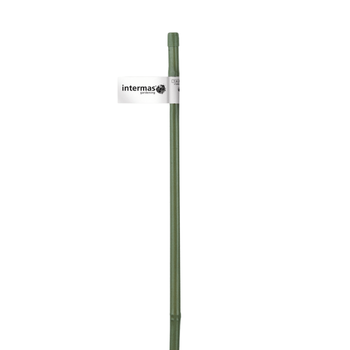 Visuel 1 du produit Tuteur bambou plastifié coloris vert Ø 12/16 mm x 1,20 m