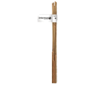 Visuel 1 du produit Tuteur bambou naturel coloris beige H1,50 m x Ø 10-12 mm