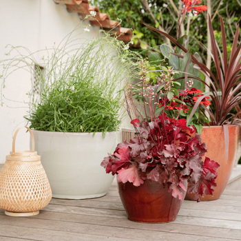 Visuel 1 du produit Pot Guardians Karanda coloris rouge en terre cuite émaillée - 50 x 50 x 50 cm