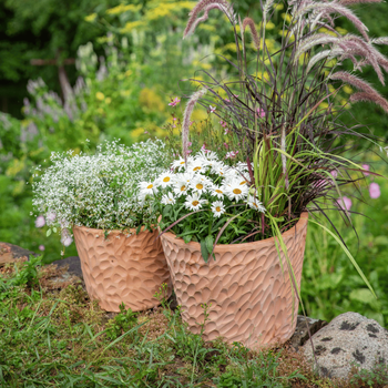 Visuel 1 du produit Pot conique en terre cuite coloris beige Poterie du Bousquet Artisan - Ø 36 x H 30 cm