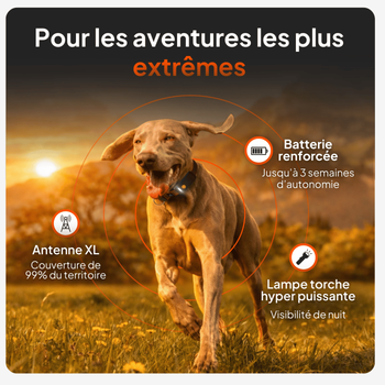 Visuel 1 du produit Collier GPS pour chien coloris noir Weenect XT
