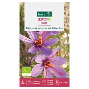 Visuel 1 du produit Bulbes de fleurs Crocus safran bio mauve botanic® - 7 bulbes