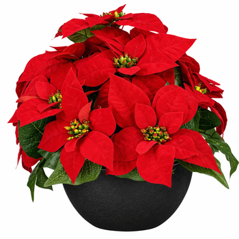 Visuel 1 du produit Plante artificielle Poinsettia rouge en pot - Ø 35 x H 30 cm