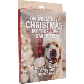 Visuel 1 du produit Calendrier de l’Avent pour chien friandises Flamingo