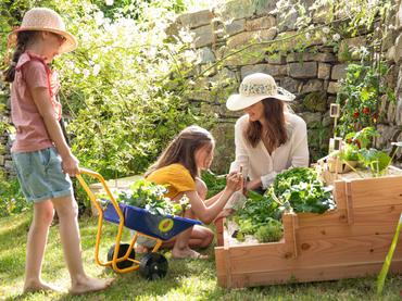 La tribu découverte potager et verger