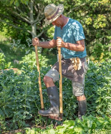 Un homme dans son potager est en train de retourner sa terre avec sa fourche