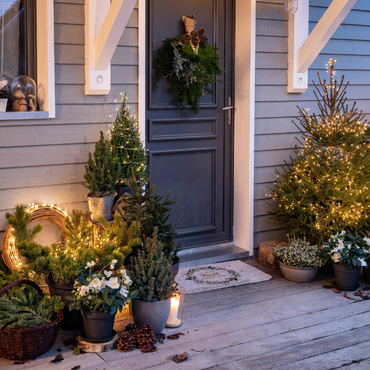 Un extérieur illuminé pour sublimer les végétaux