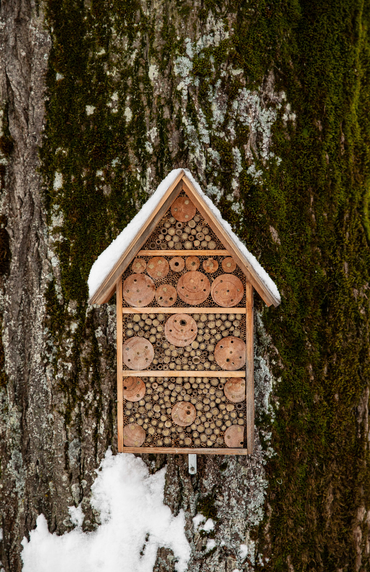 Un hôtel à insectes accroché à un arbre sous la neige.