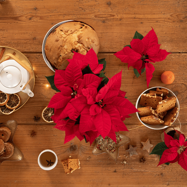 Un goûter de Noël avec des poinsettias