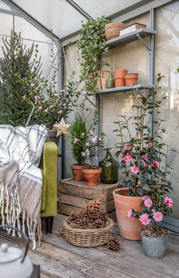 Des plantes de saison dans une serre d’hiver