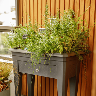 Une structure potagère sur pied avec des aromatiques sur un balcon