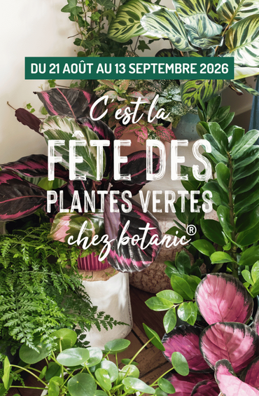 Affiche Fête des plantes vertes 2026
