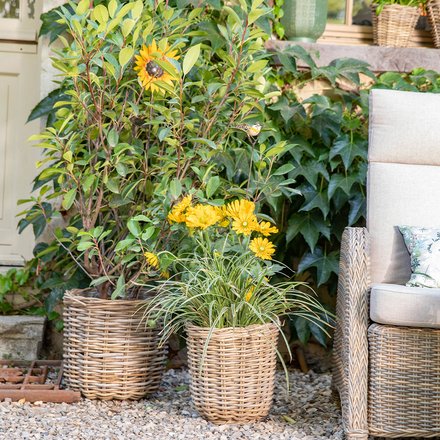 Zoom sur des pots en osiers à côté d'un salon de jardin