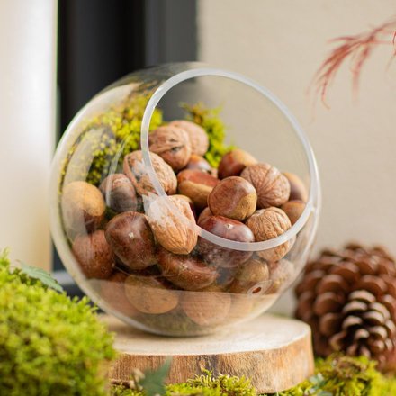 Des châtaignes et des noix dans un bol en verre à l'extérieur