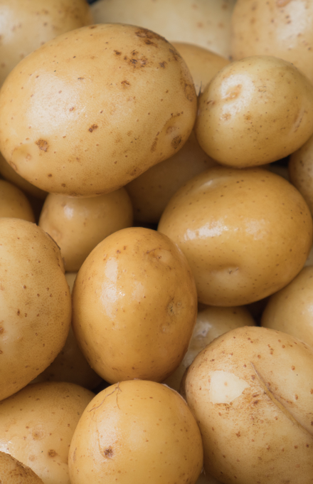 Un zoom sur des pommes de terre